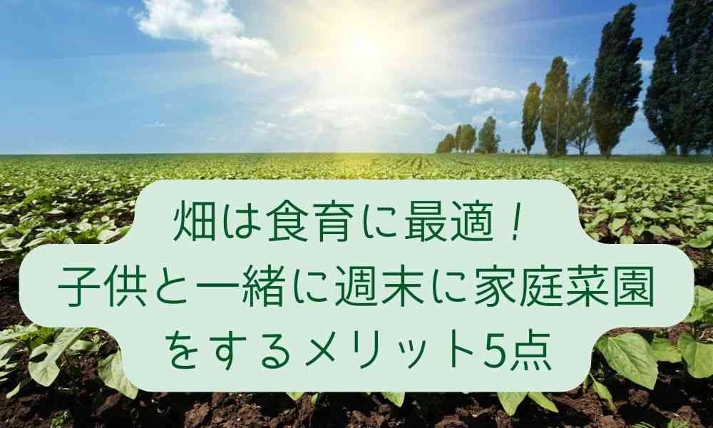 畑は食育に最適！子供と一緒に週末に家庭菜園をするメリット5点