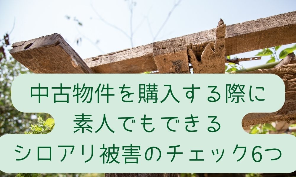 中古物件を購入する際に素人でもできるシロアリ被害のチェック6つ